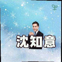 沈知意